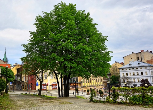 Bolesława Chrobrego Plac